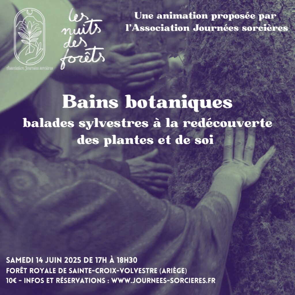 Balades botaniques pendant les Nuits des forêts 2025