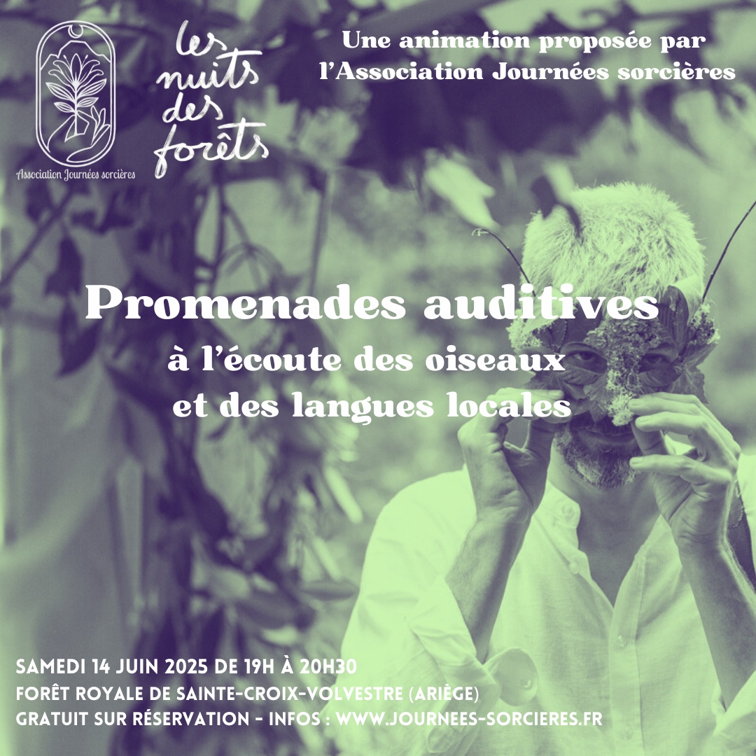 Promenades auditives pour les Nuits des forêts 2025